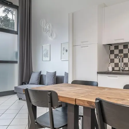 Turati - Short * Bolonia